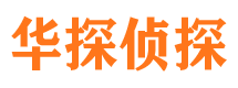 新青调查公司